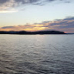 Meet your Posher, Collin